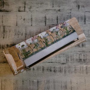 Mason Jars with Galvanized Caddy